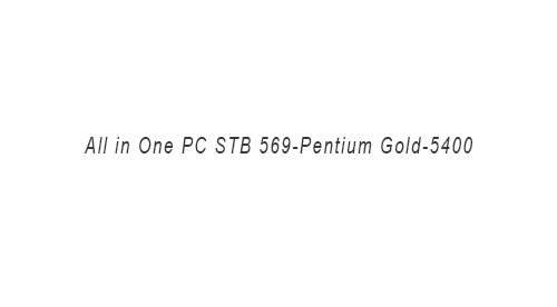 All in One PC STB 569-Pentium Gold-5400